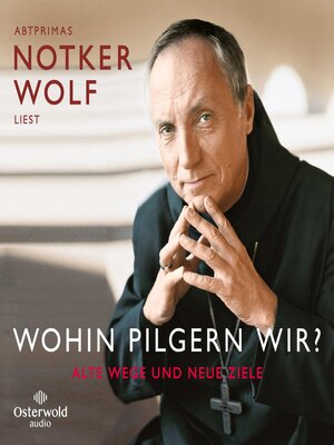 cover image of Wohin pilgern wir?